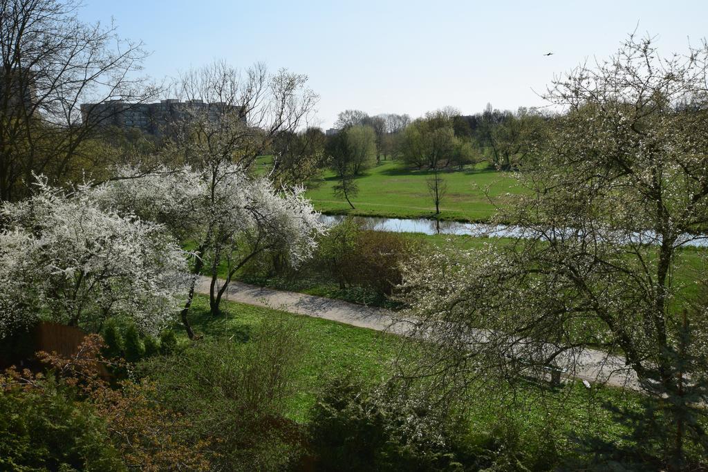 Elegant Apartment Stadion Narodowy Warszawa Eksteriør bilde