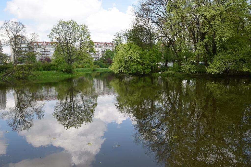 Elegant Apartment Stadion Narodowy Warszawa Eksteriør bilde
